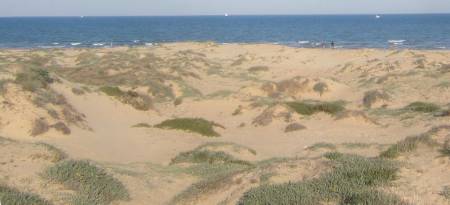 Die Dünenlandschaft an der Costa Blanca